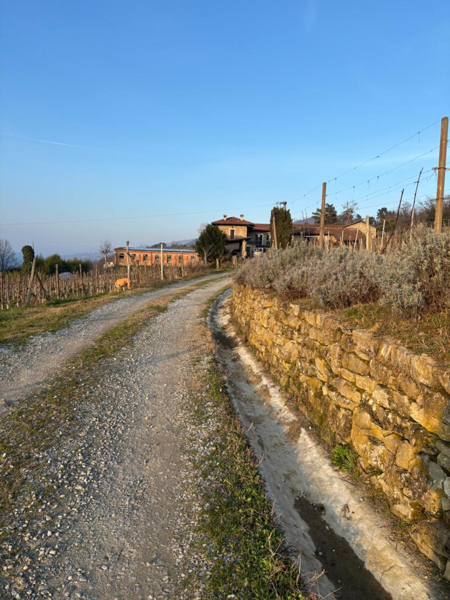 Agriturismo Tenuta San Giuseppe Cossano Belbo Exterior foto